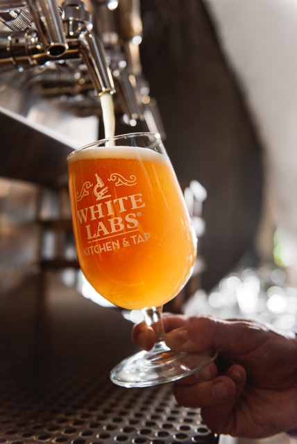 ニューイングランドIPAとその仲間「ヘイジースタイルビール」を徹底解説！ | 醸造企業のトータルサポート BET